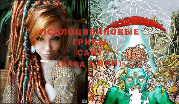 крисы Балабаново