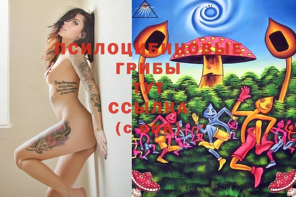 крисы Балабаново