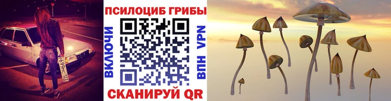 купить наркотики цена  Николаевск-на-Амуре  Галлюциногенные грибы прущие грибы 